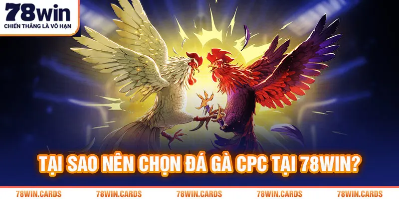 Những lý do đặc biệt nên chọn cược đá gà CPC tại 78Win