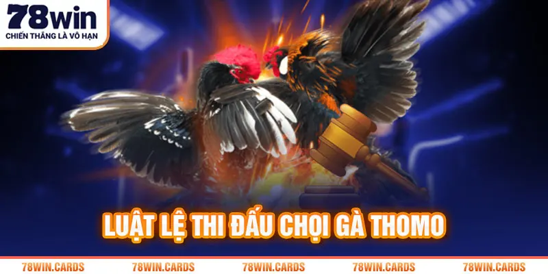 Luật lệ thi đấu chọi gà Thomo