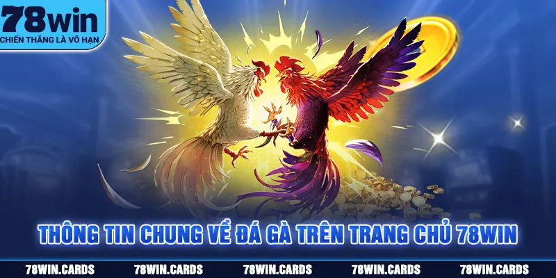 Thông tin chung về đá gà trên trang chủ 78Win